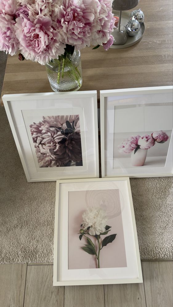 Obrazki piwonie Desenio Ikea