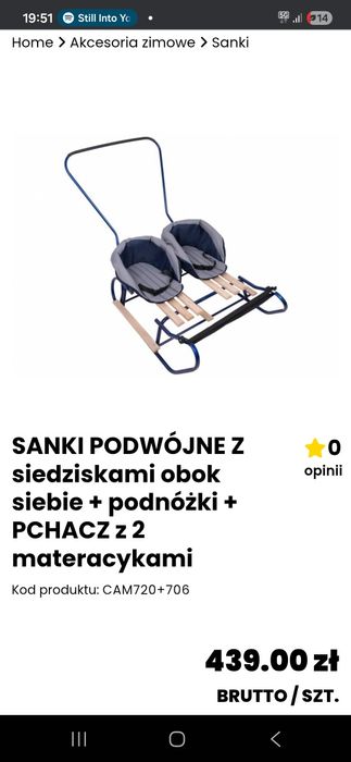 Sanki podwójne dla dzieci