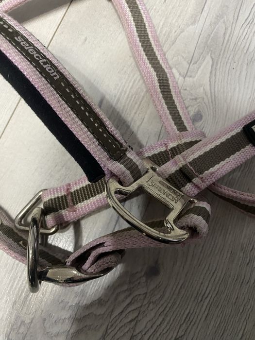 Kantar eskadron z uwiązem