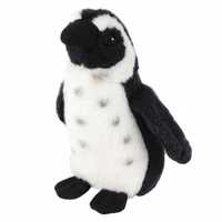 Pingwin Humboldta 13cm, Beppe