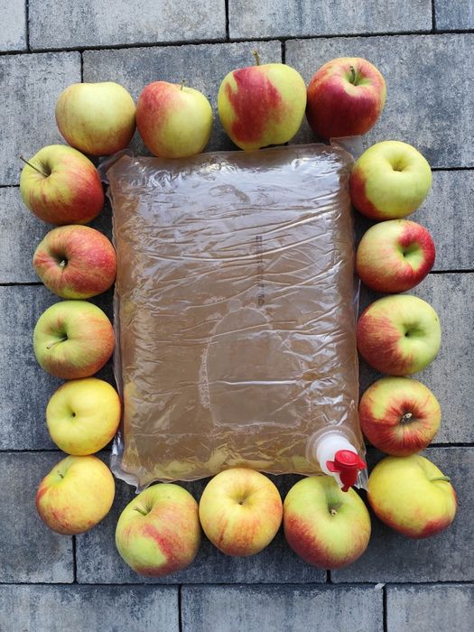 Sok tłoczony jabłkowy 20 litrów