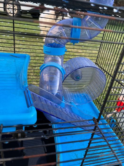 Klatka dla chomika + kula