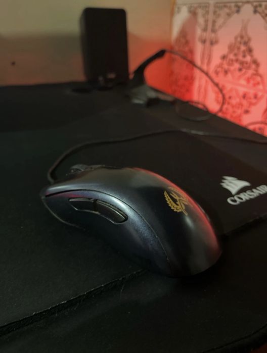 Zowie Ec1 CS GO
