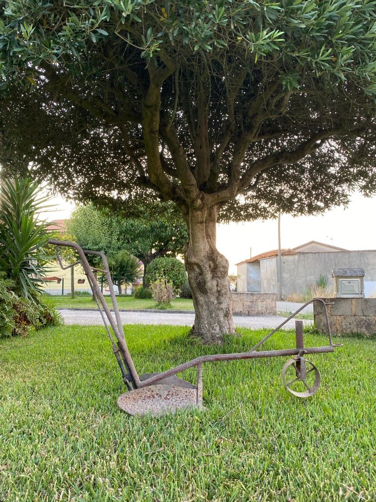 Arado antigo para decoração