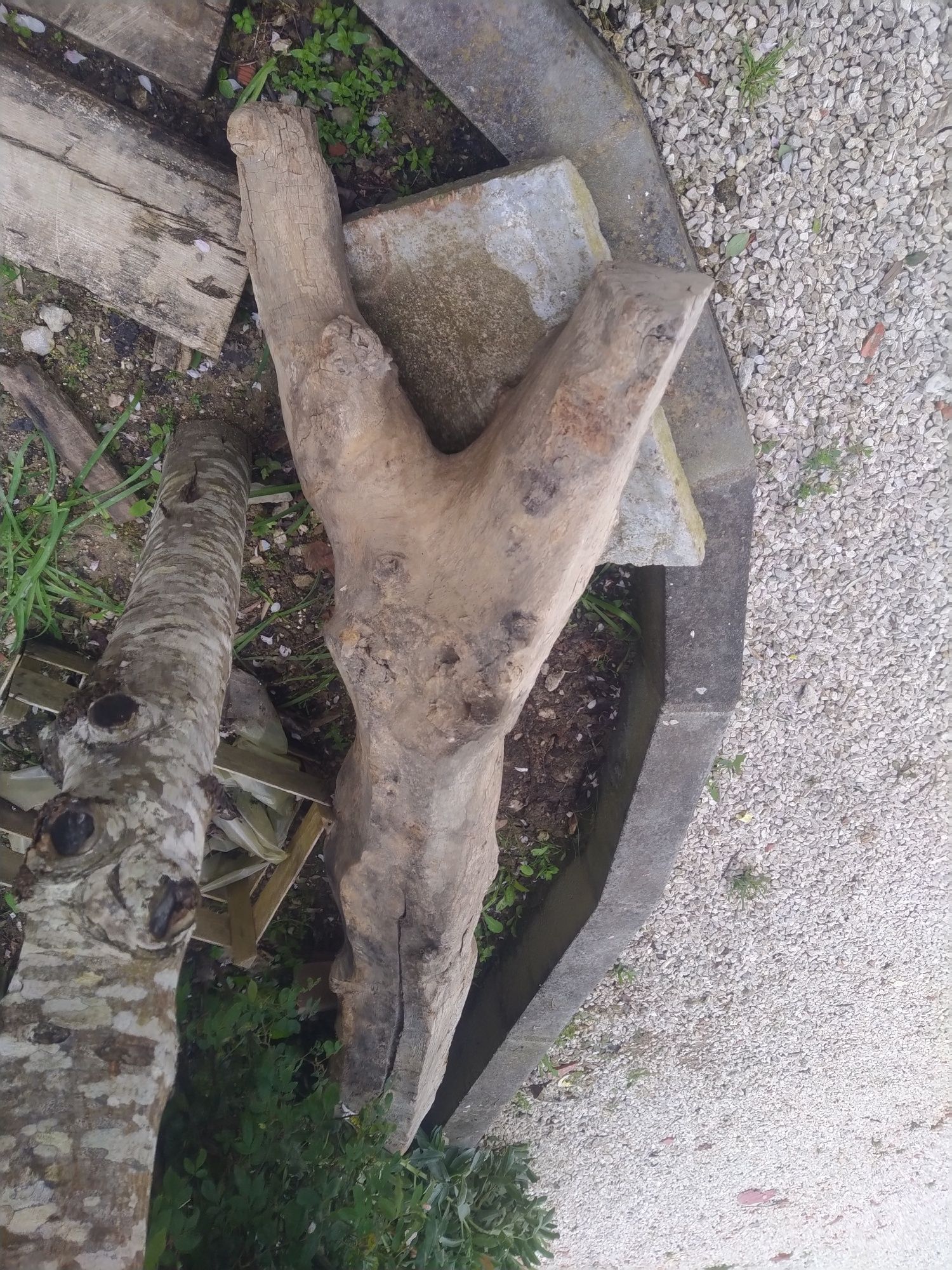 Tronco para escorar