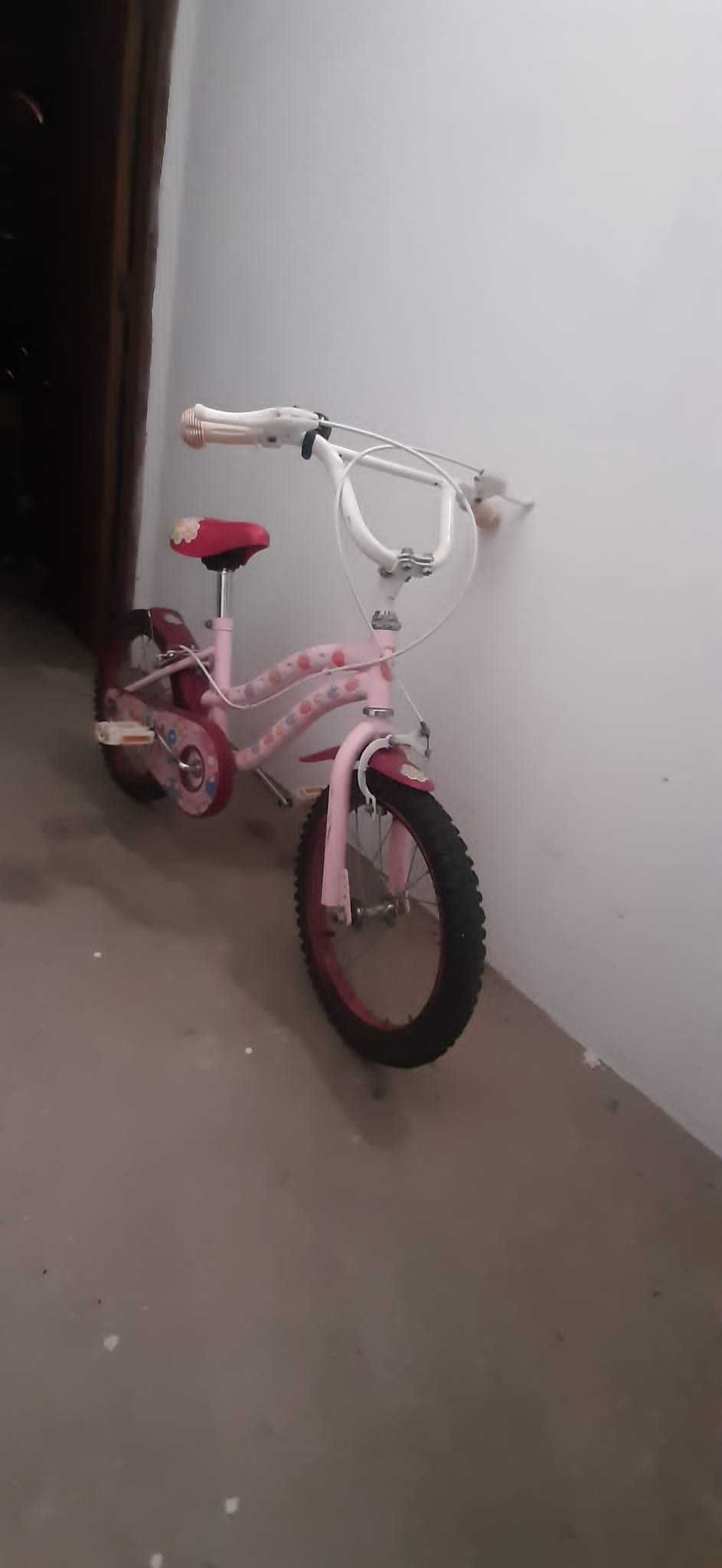 Bicicleta de crianç