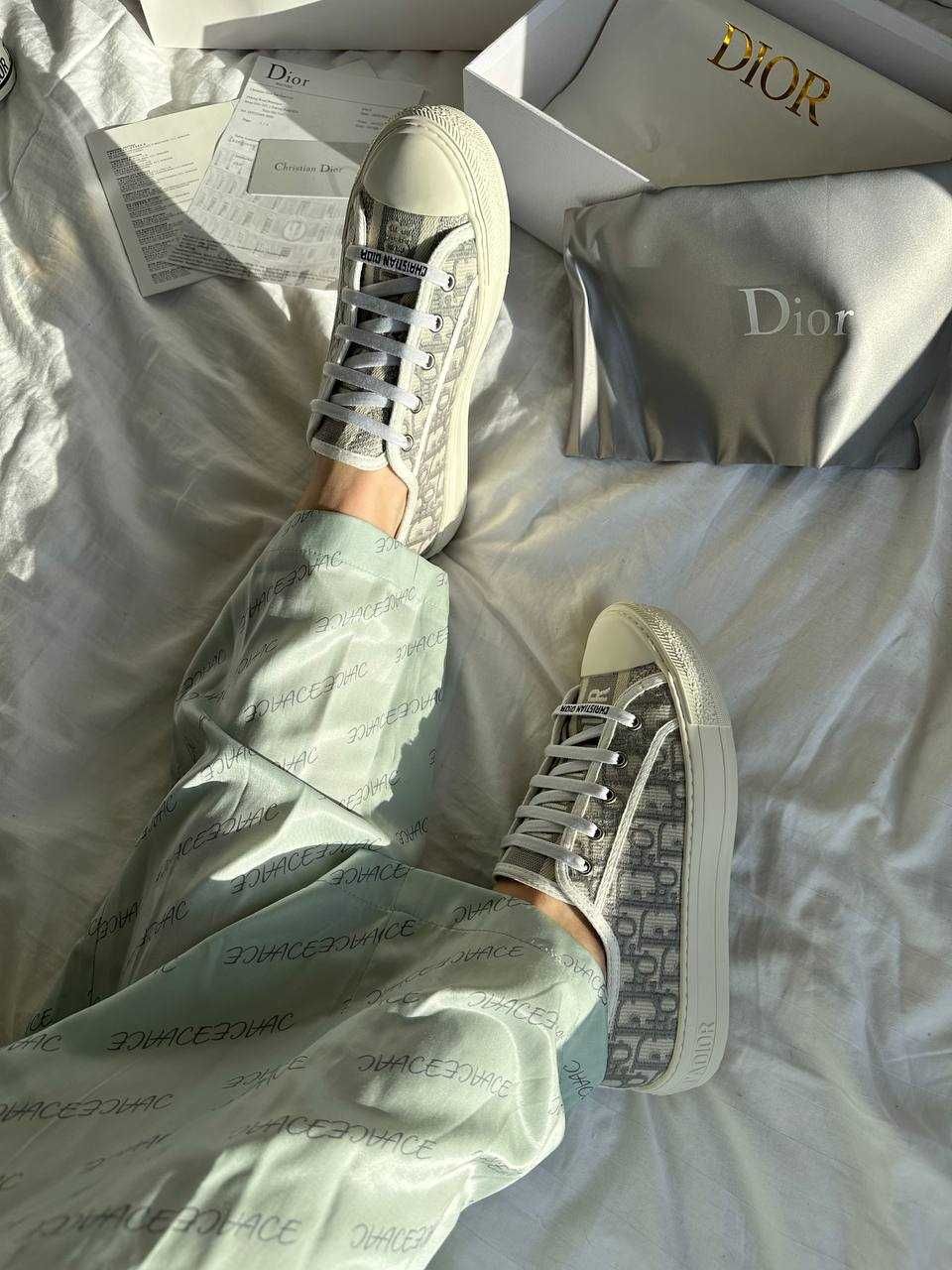 Dior Sneakers Low Grey Premium