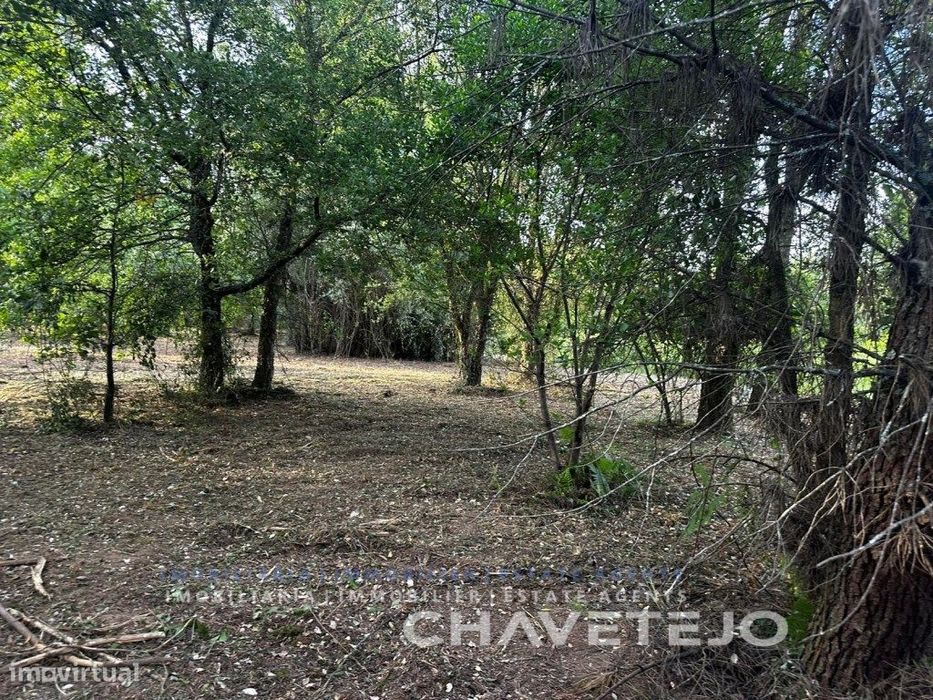 Terreno rústico com 2.480 m2 a 10 minutos da praia fluvial da Bairr...