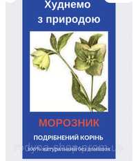 Морознік кавказький 5 упаковок  по 10 грам Схуднення