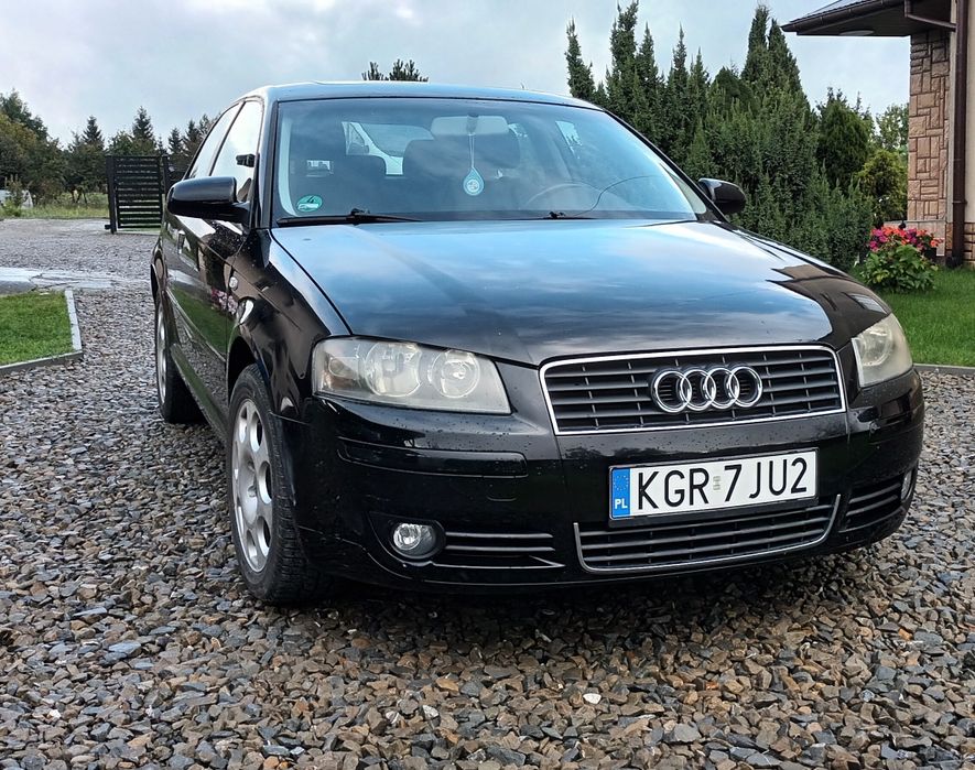 Audi A3 8p 2.0 benzyna 150KM