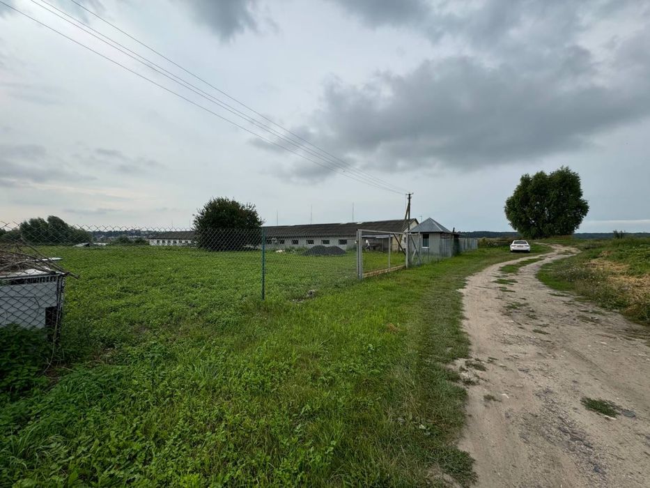 Продаж Оренда Ферми в Боголюбах