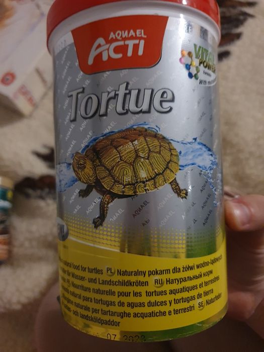 Pokarm dla żółwi wodno lądowego kryl