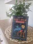 Kuba i Amelia Godzina duchów
