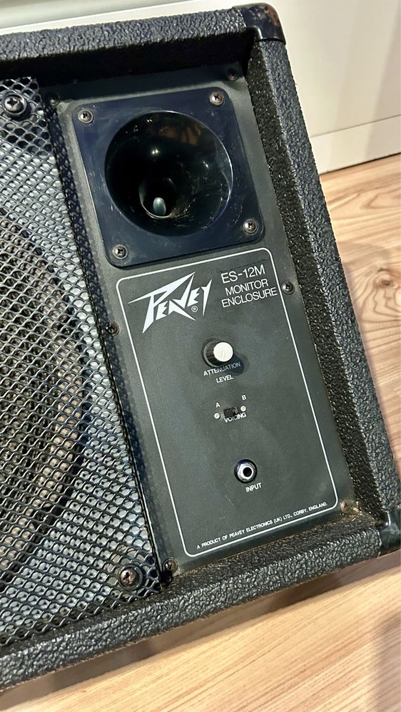 Peavey zawodowe odsluchy sceniczne