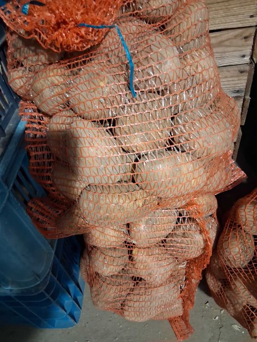 Kartofle swojskie , ziemniaki