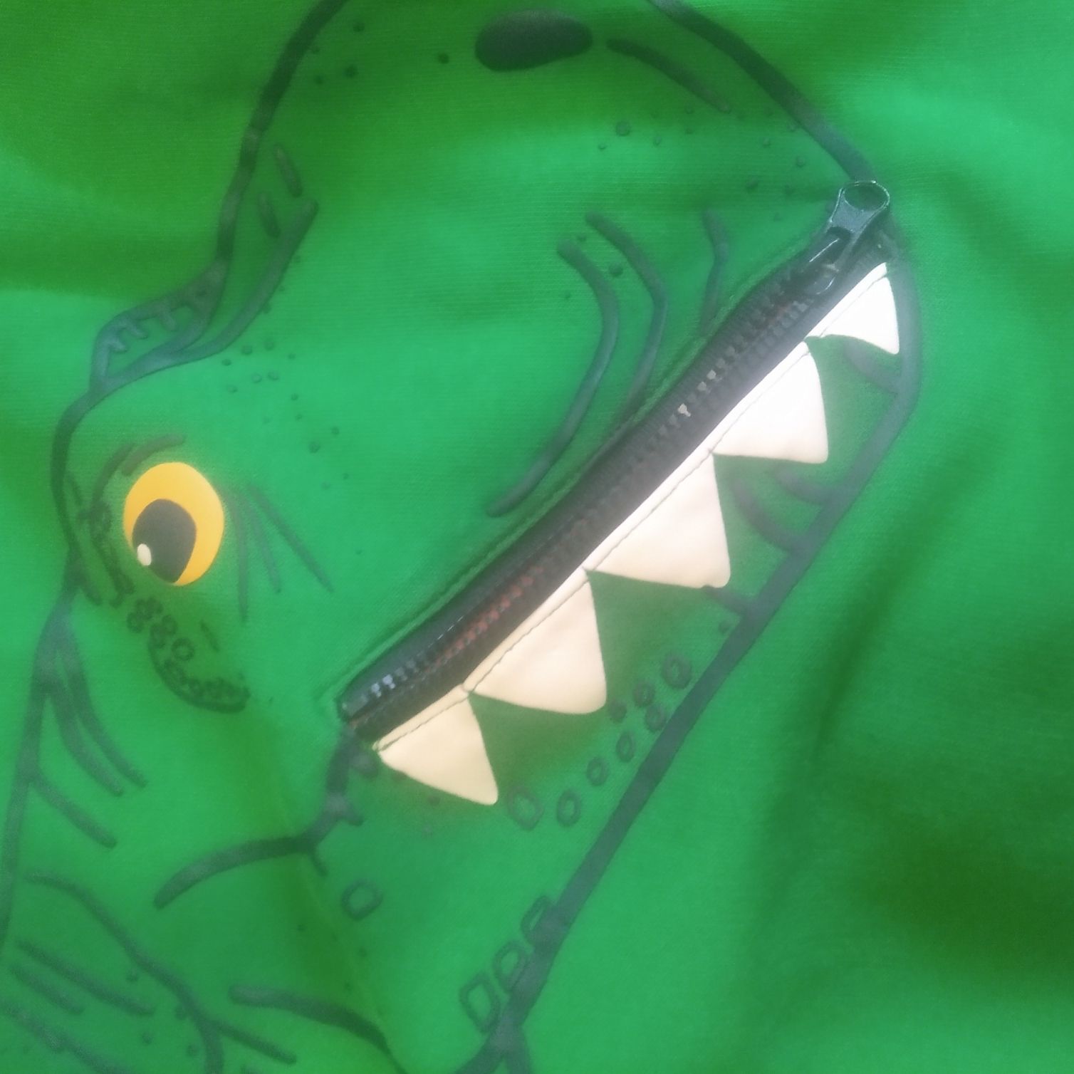 Bluza chłopięca z dinozaurem na 140 cm C&A