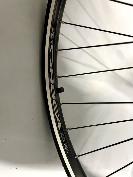 Bicicleta fixed gear / Singlespeed