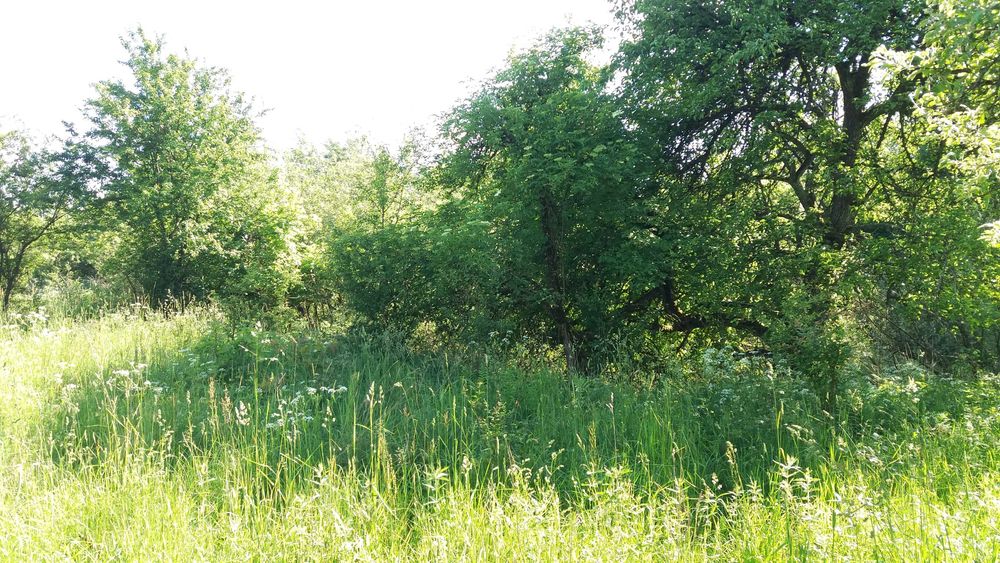 Piękna, duża działka budowlana ze stawem w otoczeniu natury, Spręcowo