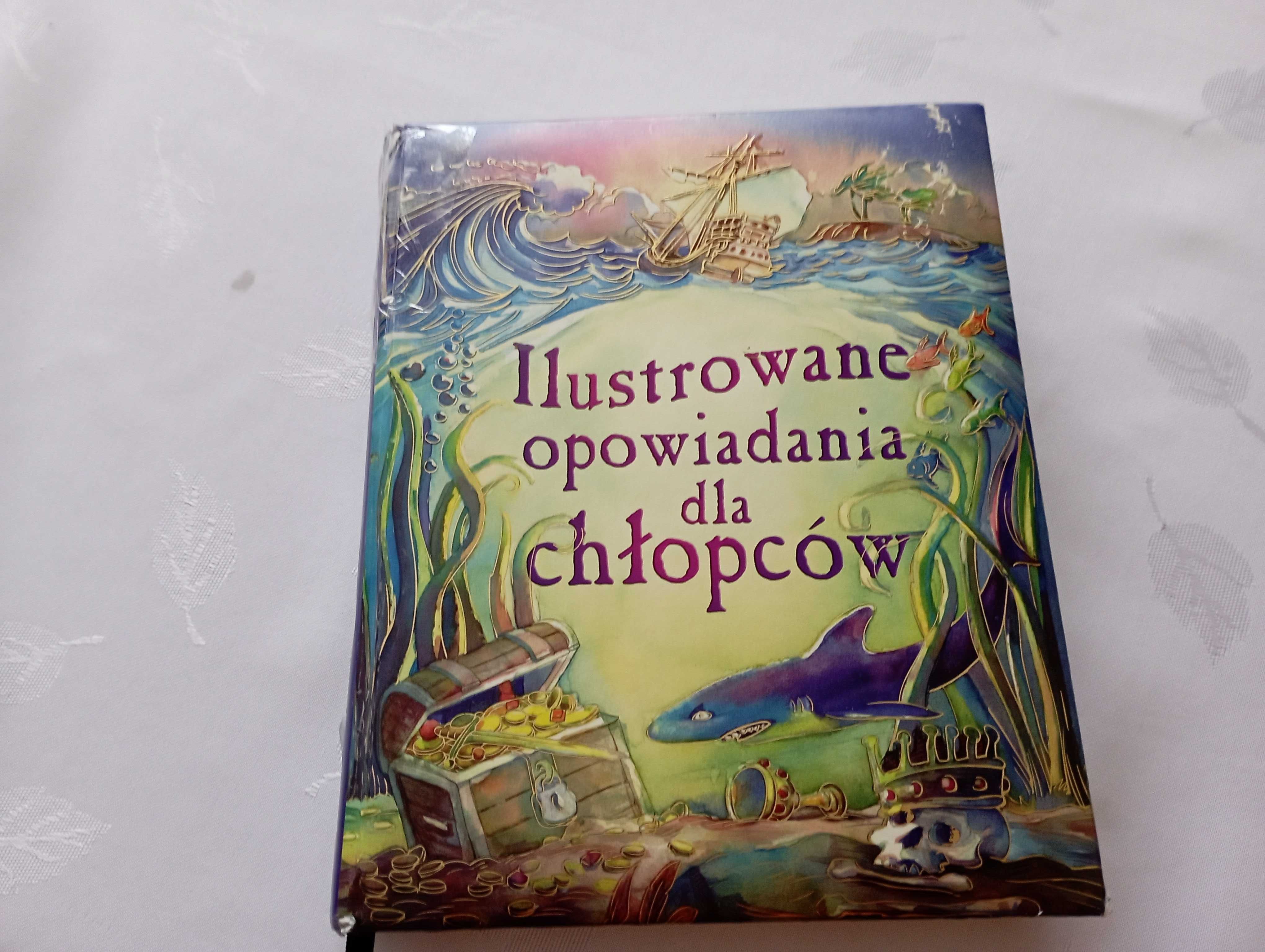 Książka Ilustrowane opowiadania dla chłopców