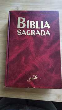 Biblia Sagrada edição pastoral