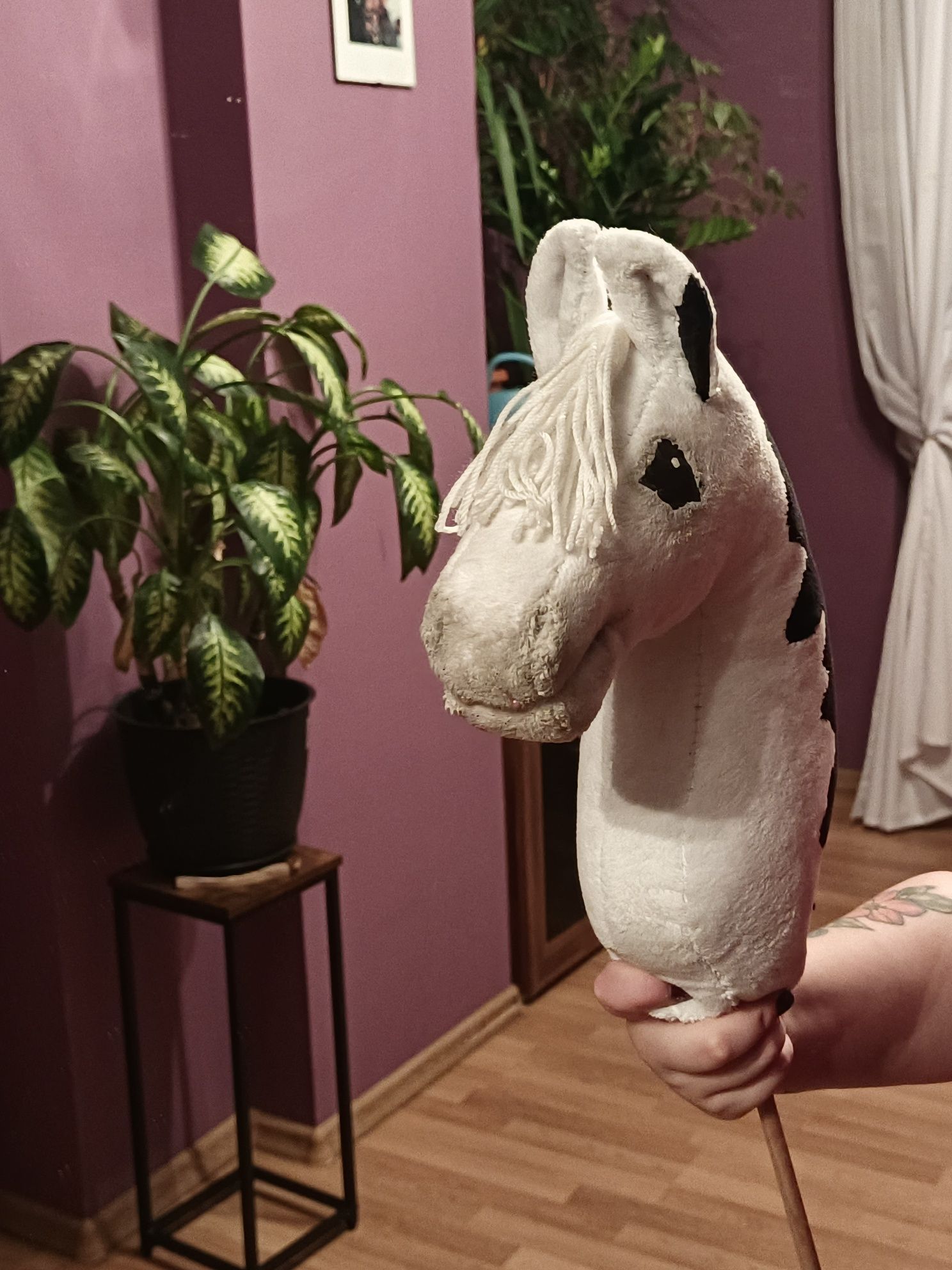 Hobby horse kht_emi
