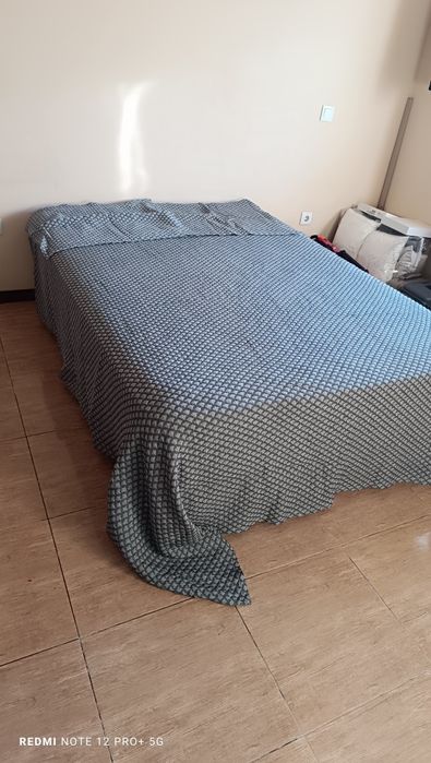 Quarto casal ler anúncio