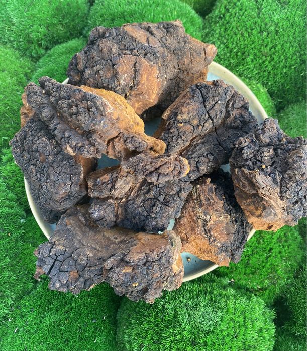 Чага, гриб чага, сушена, березова чага