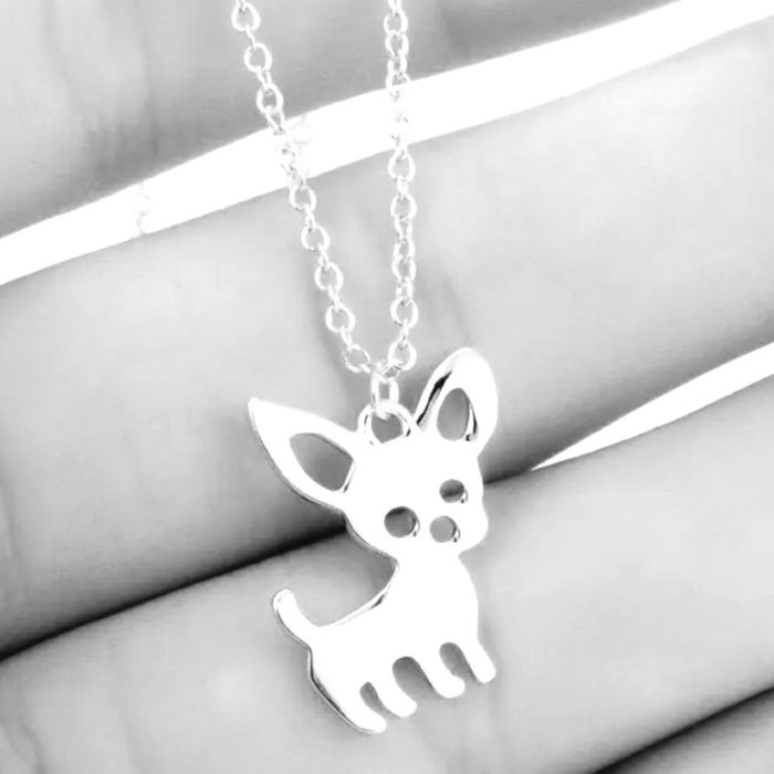 Colar Cão Chihuahua.