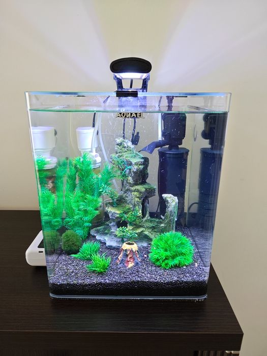 Dwa kompletne akwaria 30L i 10L + mnóstwo akcesoriów