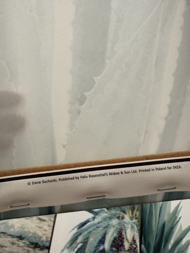 Zestaw obrazów Ikea Pjätteryd