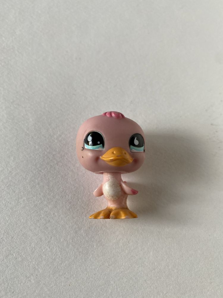 Littlest  pet shop kaczka # 825