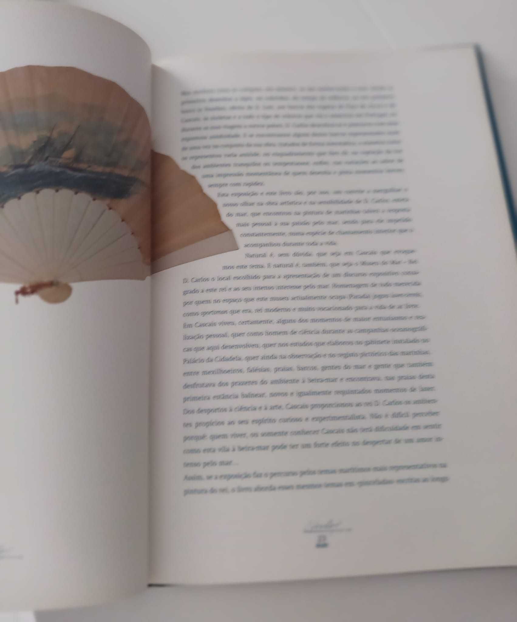 Livro com ilustrações em homenagem à obra artística do Rei D. Carlos