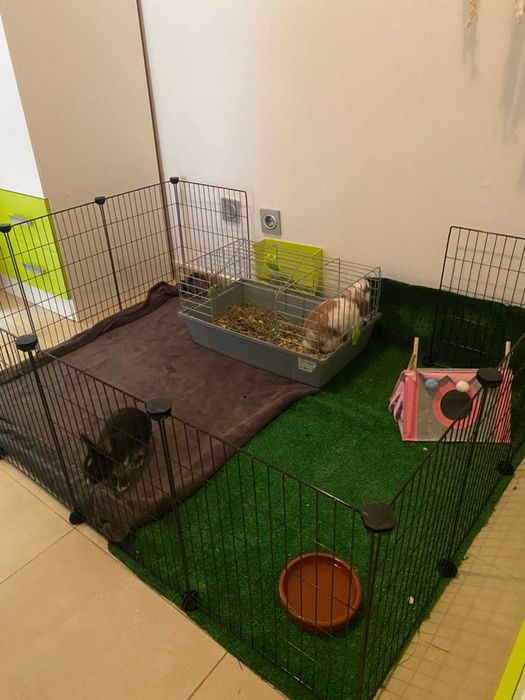 Klatka dla gryzoni królików świnki morskiej psa kota NOWA modułowa