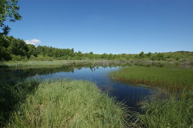 земельна ділянка з цоколем