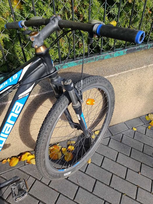 Rower Indiana MTB X-Pulser 1.9