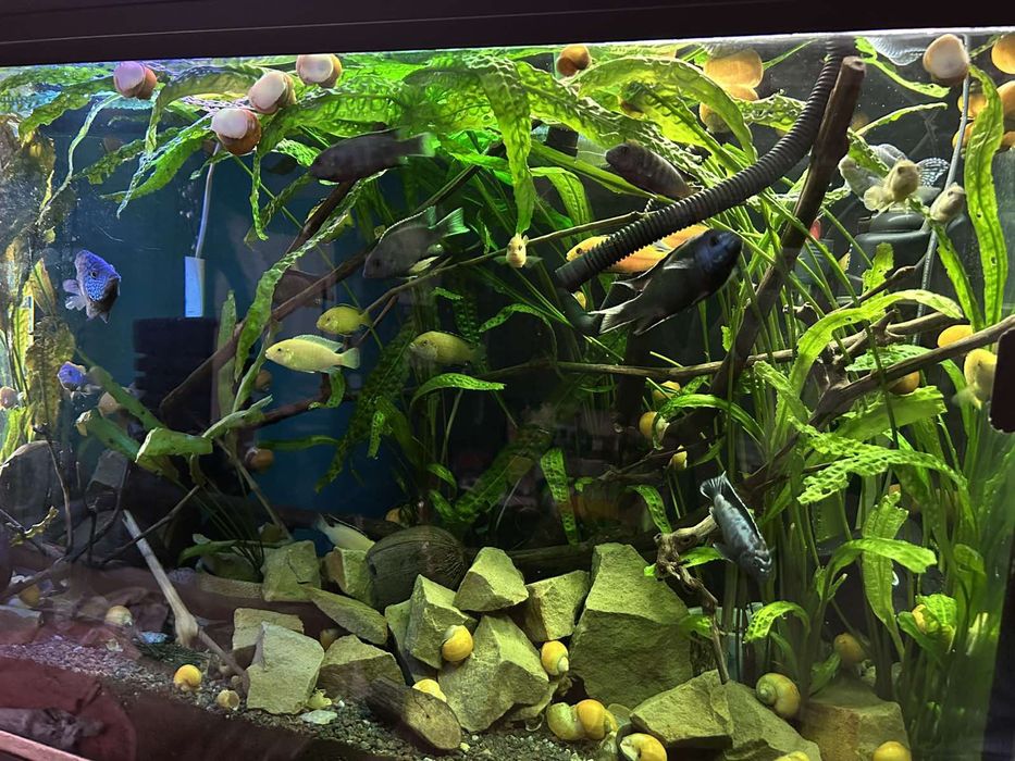 Акваріум ..б/ у в хорошому стані