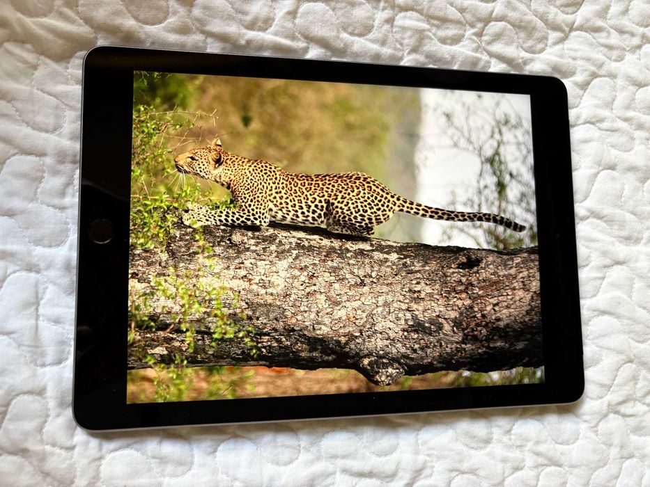 iPad 6gen 2018 32GB cellular szary bateria 98%