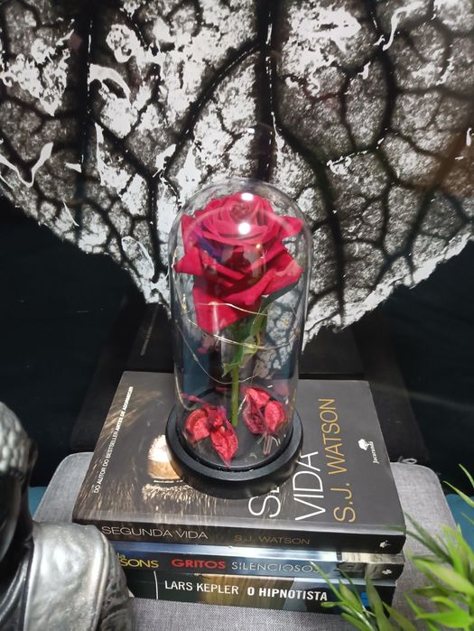 A Bela e o monstro Rosa eterna vermelha