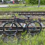 Giant Roam 2 disc 29 plus widelec S-works specialized