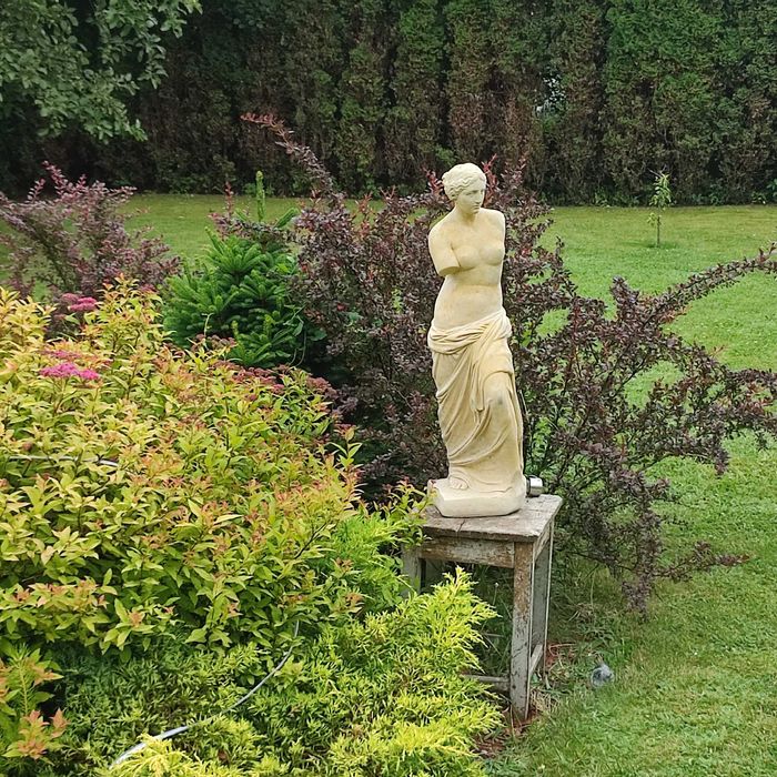 Rzeźba Ogrodowa Wenus