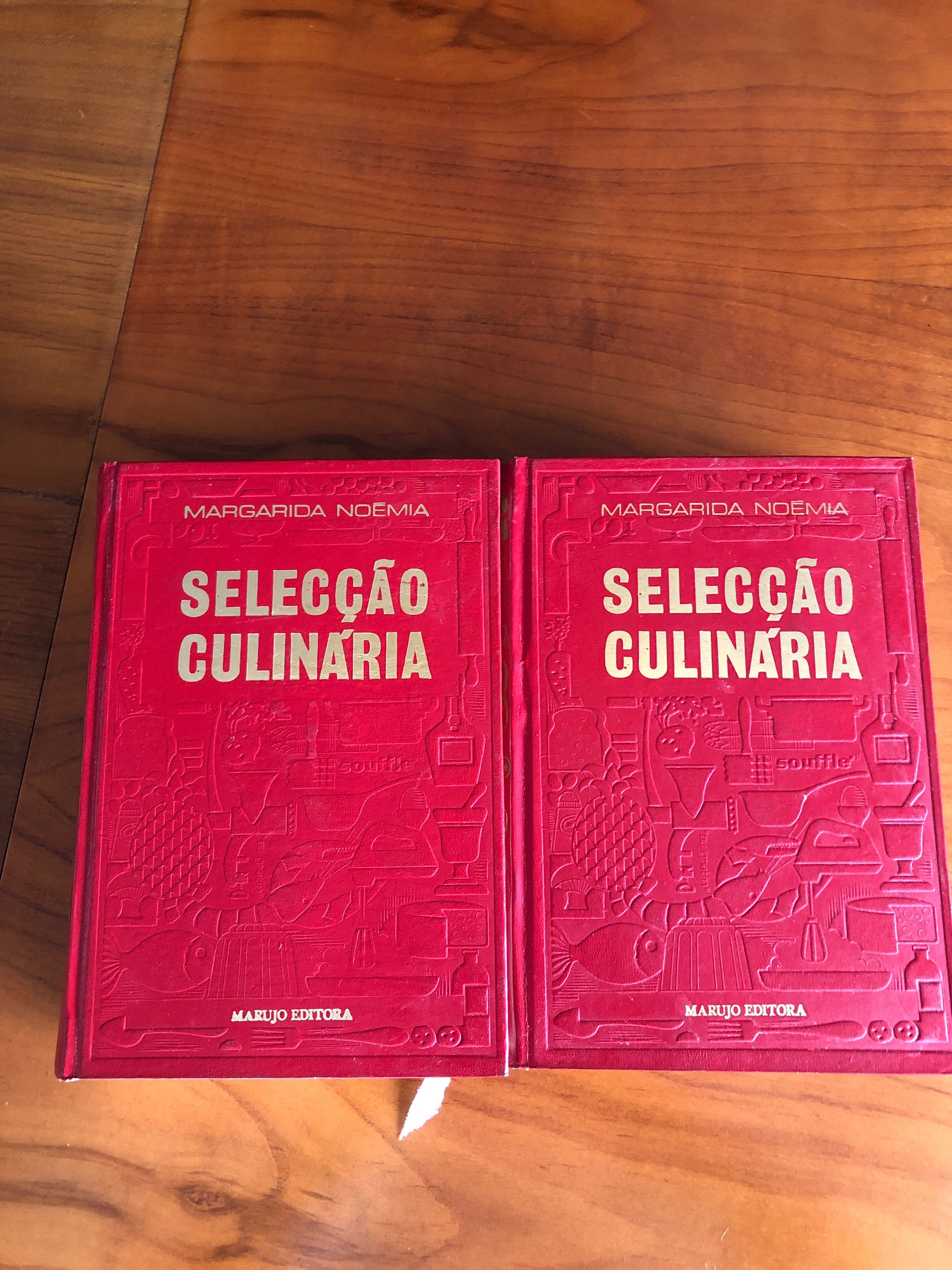 Seleção culinária volume 1 e 2 de Margarida Noémia