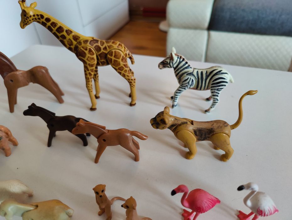 Playmobil zwierzęta - pingwiny, flamingi, surykatki