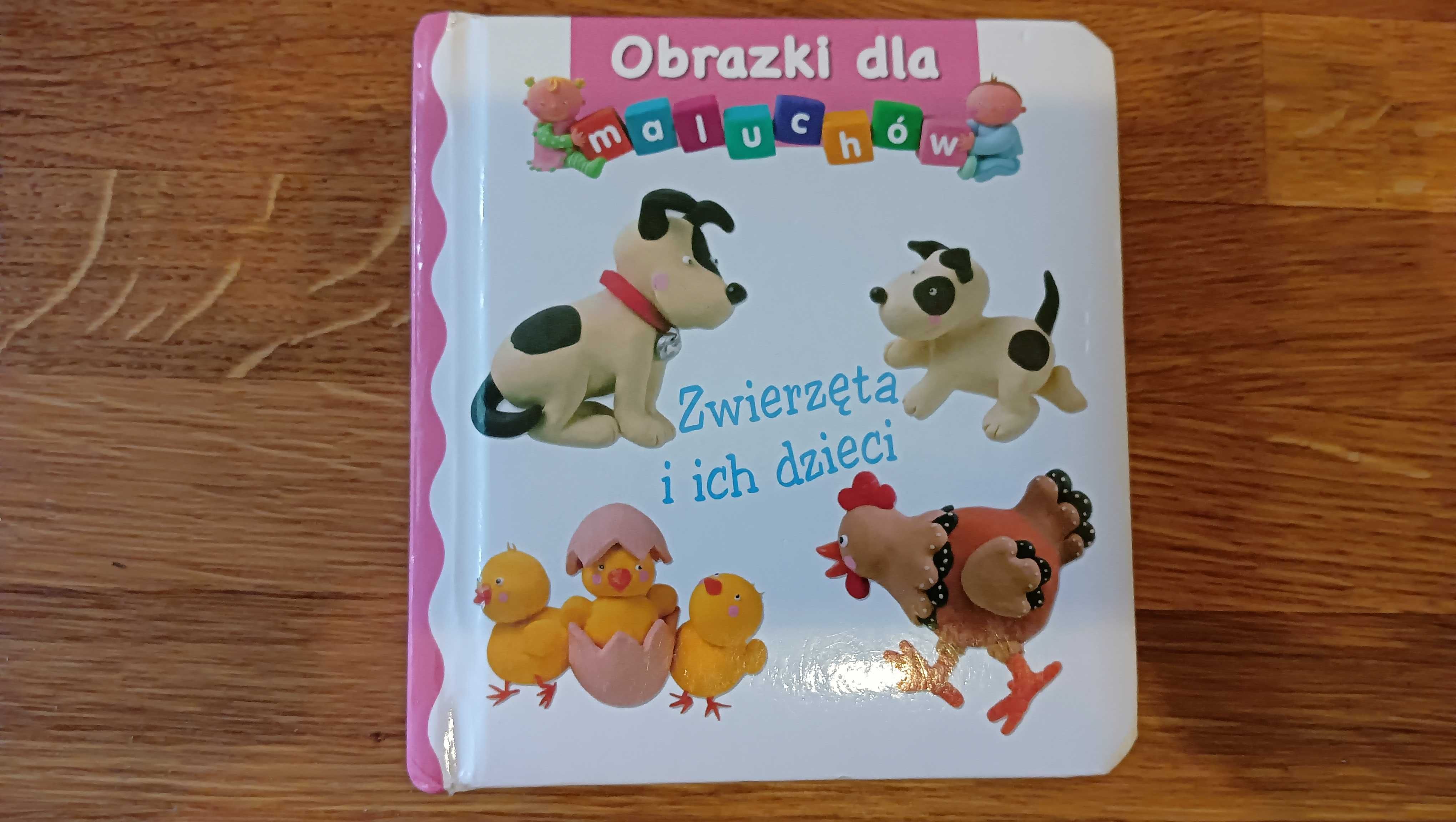 Zestaw książek dla dzieci