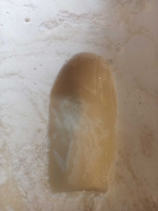 Miód w wiaderku 16kg