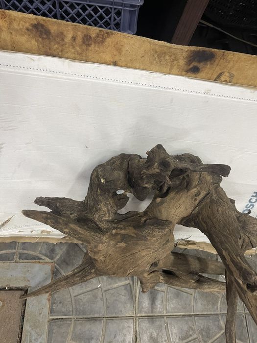 Корень в аквариум