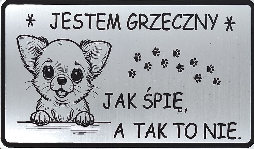 Tabliczka informacyjna uwaga pies