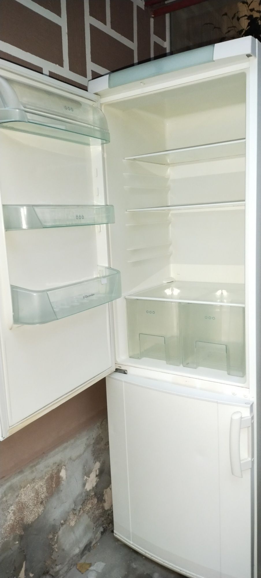 Холодильник Electrolux ERB3645