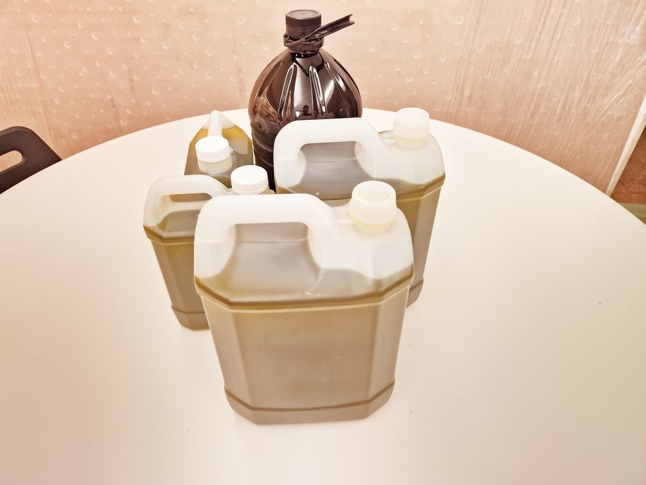 Azeite novo virgem extra