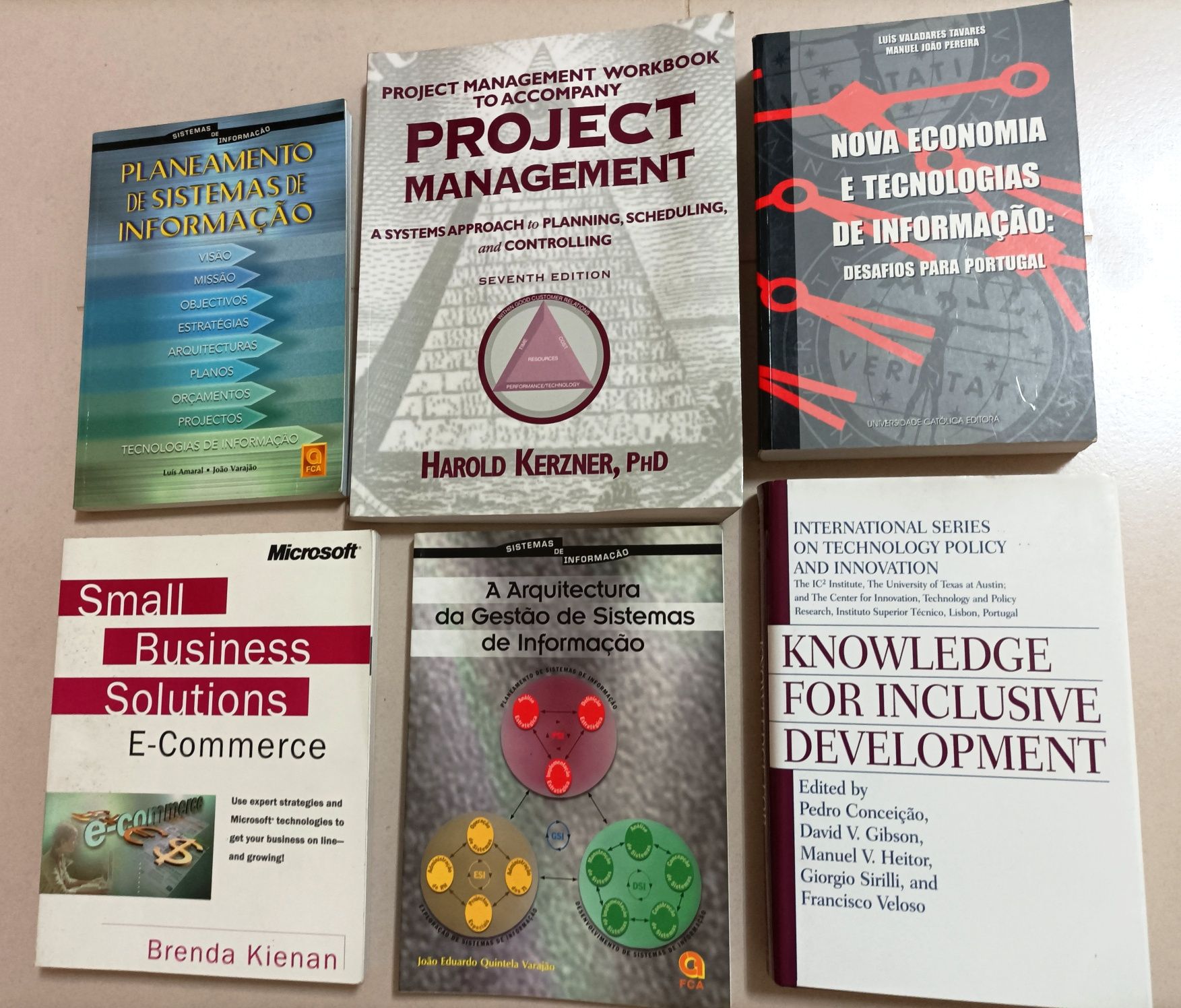 Livros Sobre Informática / Sistemas de Informação