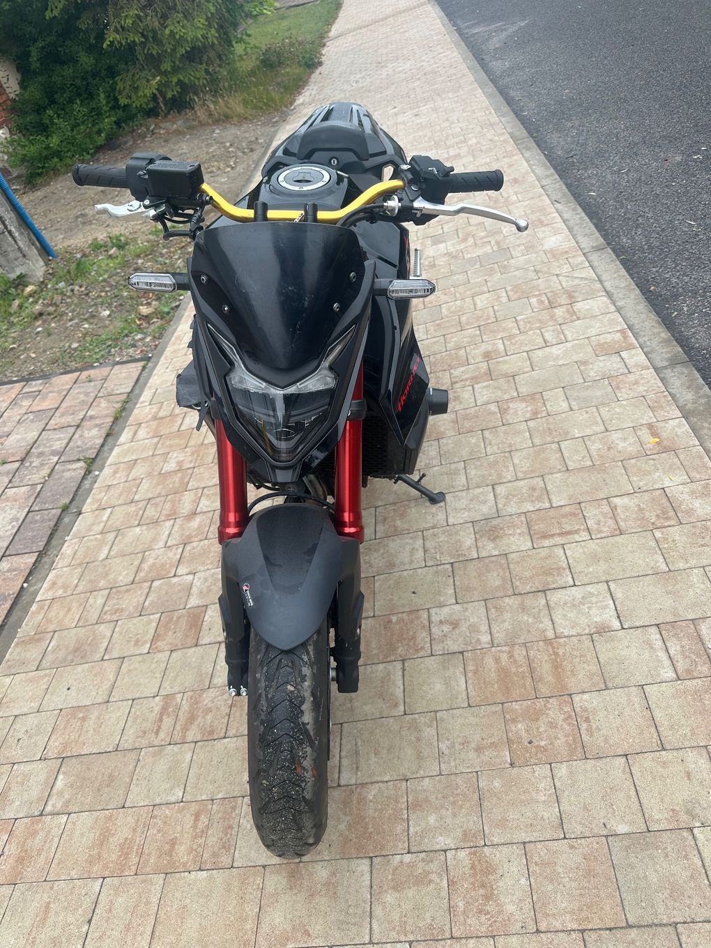 Honda Hornet